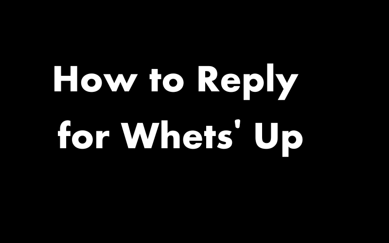 How to Reply for What'S Up